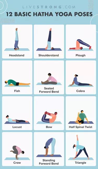 yoga poses  beginners   easy     morning  night