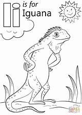 Iguana Colorear Letra Marine Colouring Sheet Designlooter Manualidades sketch template