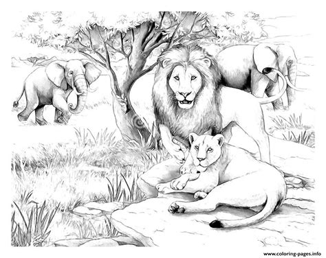 lions coloring pages