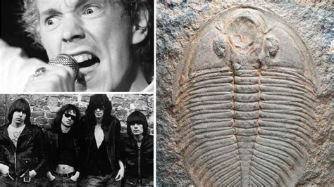 Ten Species Named After Famous People Bbc Future