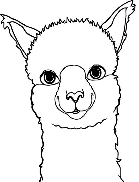 llama coloring pages  printable coloring pages
