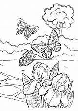 Coloring Spring Pages Printable Flying Color Butterflies Kids Cute Nature sketch template