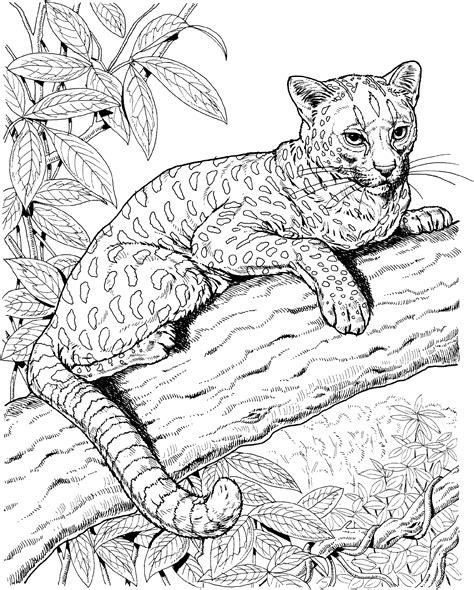 coloring pages  jaguars