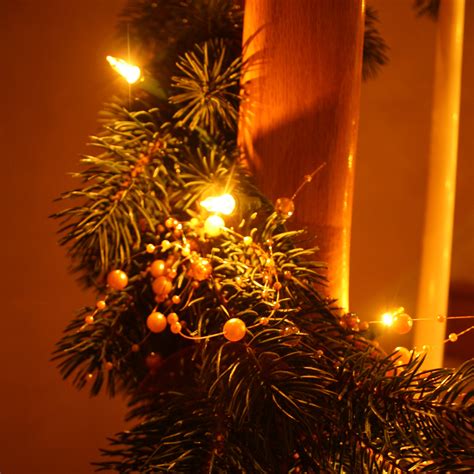 conquering  darkness  christmas lights  hanukkah candles martha brettschneider
