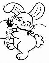Rabbit Crayola Grassy sketch template