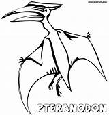 Pteranodon Coloring Pages Print sketch template