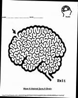 Injury Maze Printablee Brains sketch template