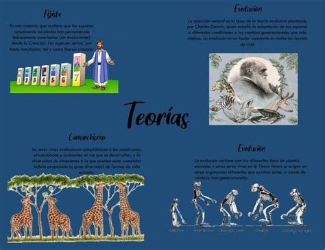 Mapa Conceptual De Las Teorías De Evolución Marissa Vianey Gonzalez