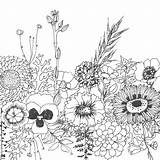 Coloring Zen Pages Flowers sketch template