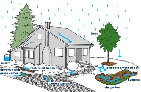 Rainwise Drainage Concepts Seattle Public Utilities Resources Rain