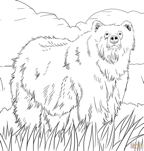 alaskan grizzly bear coloring page  printable coloring pages
