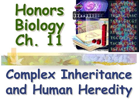 ppt honors biology ch 11 powerpoint presentation id