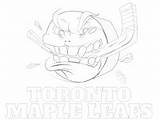 Leafs Maple Penguin sketch template