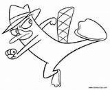 Perry Platypus Getdrawings Phineas Ferb sketch template