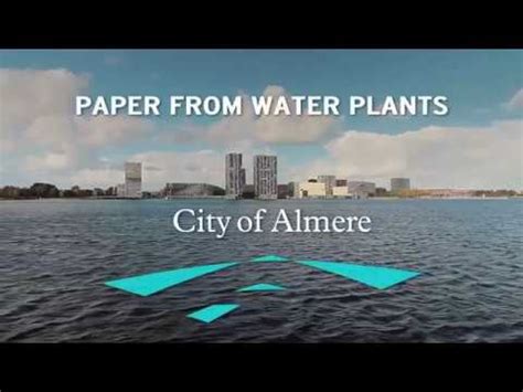 almere  aquatic plant  paper  bench eurocities