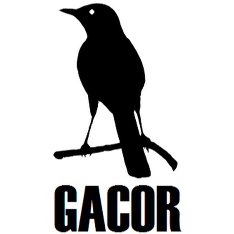 gacor tv youtube