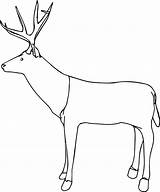 Coloring Deer Pages Side Wecoloringpage sketch template