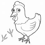 Hen Coloring Red Little Pages Print Hens Getdrawings Color Animal sketch template