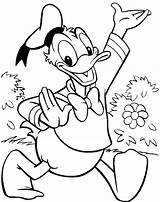 Coloring Pages Meme Duck Print Getcolorings sketch template