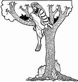 Zacchaeus Coloring Tree Jesus Pages Wecoloringpage sketch template