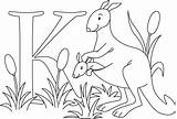 Kanguru Mewarnai Tk Paud Semoga Seni Kreatifitas Jiwa Kepada Bermanfaat Meningkatkan Kita sketch template