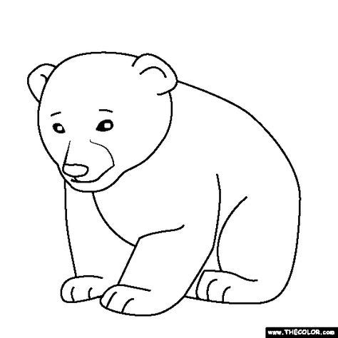 coloring page   baby bear color   picture   baby