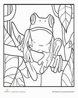 Coloring Frog Pages Tree Frogs Sheets Forest Rainforest Color Education Colouring Printable Adult Books Kids sketch template