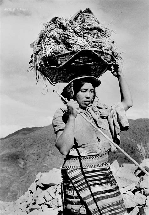igorot woman carrying harvest on northern luzon island ph