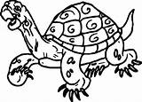 Coloring Tortoise Turtle Line Wecoloringpage sketch template