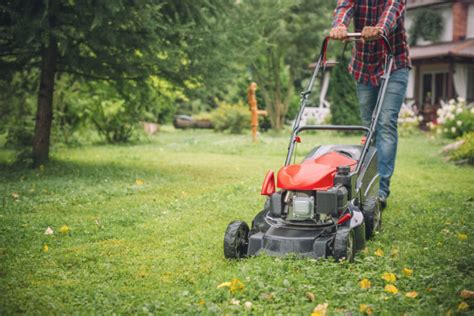 lawn care   latest home garden