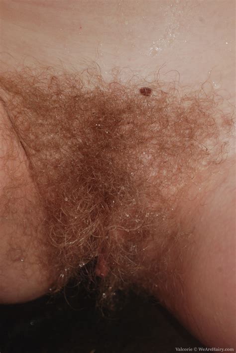 close up natural blonde hairy pussy hairy