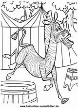 Madagascar Marty Zebra Kleurplaten Colorat Cirque Coloriages P59 Ausmalen Ausdrucken Ausmalbild Planse Kino Circo Planetadibujos Animaatjes Primiiani Pdf Malvorlage Desene sketch template