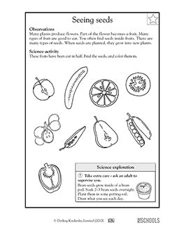 kindergarten science worksheets word lists  activities greatschools