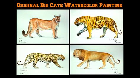 Original Big Cats Watercolor Paintings And Prints Lion