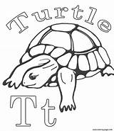 Coloring Turtle Alphabet Pages Printable sketch template