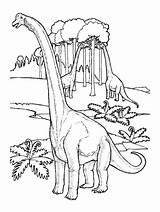 Kolorowanki Dinosaur Cuello Dinozaury Dinosaurios Jurassic Dinosaurio Kolorowanka Mewarnai Dinosauri Brachiosaurus Dinosaurus Imagui Dinosaures Diplodocus Repas Ausmalen Dinozaur Pintar Brontosaurus sketch template