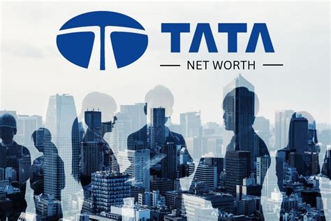 tata group net worth revenue turnover moneymint