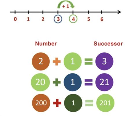 meaning  successor  maths kids guide  maths