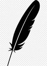 Feather Clip Pluma Feathers Icicles Cicles Vectorified Piuma Dona Webstockreview Pegatina Blackbird sketch template