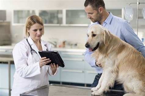 vets  veterinary practice news