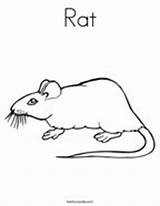 Rat Coloring Porcupine Print Mouse Twistynoodle sketch template