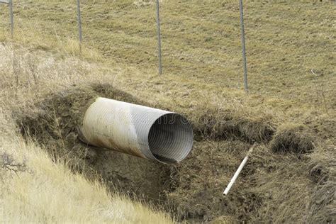 sewage pipe emptying   outdoor field stock image image  drainage flow