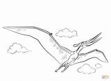 Ausmalbilder Pteranodon Fliegend Ausmalbild sketch template