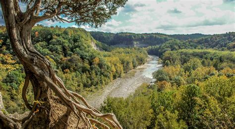 deer lick conservation area