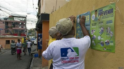 Chikungunya La Fiebre Que Atormenta A República Dominicana Bbc News