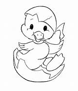 Duck Template Cute Templates Coloring Pages Animal Easter Shape sketch template