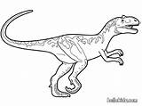 Velociraptor Coloring Pages Printable Getcolorings Color sketch template