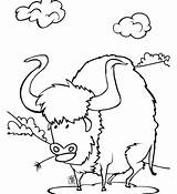 Buffalo Coloring Pages Kids Getcolorings Printable Getdrawings Color sketch template