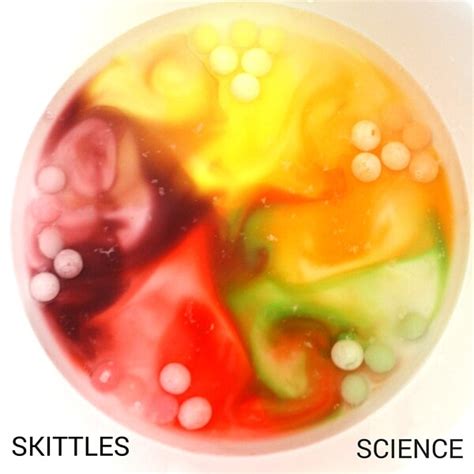 skittles science candy experiment  stem activity