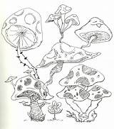 Shrooms Drawings Drawing Trippy Weed Shroom Coloring Pages Stoner Getdrawings Deviantart Template sketch template